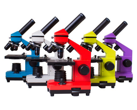 Купите школьный лабораторный микроскоп Levenhuk Rainbow 2L PLUS в интернет-магазине