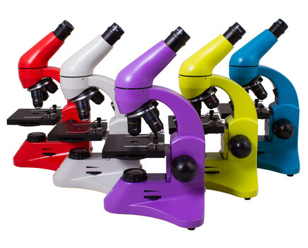 Купите школьный биологический микроскоп Levenhuk Rainbow 50L PLUS в интернет-магазине