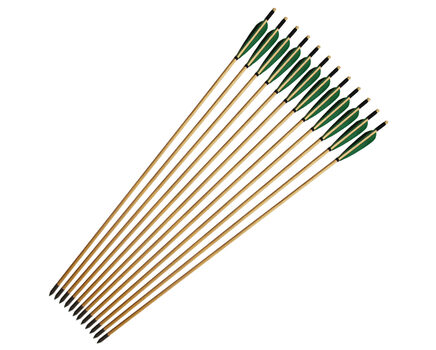 Купите стрелу для лука деревянную 8 мм с натуральным оперением 4 дюйма в интернет-магазине