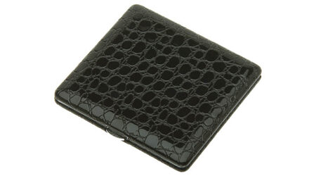 купите Портсигар S.Quire CP11A00-12 в Москве